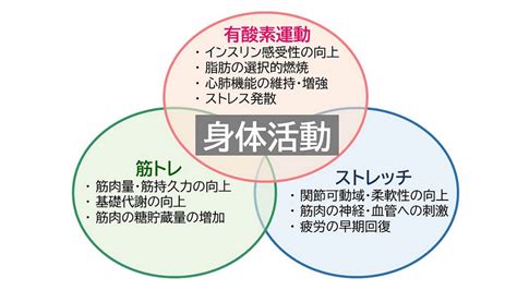 運動|運動の効果とは？身体機能や健康への影響、実施のポイントを解。